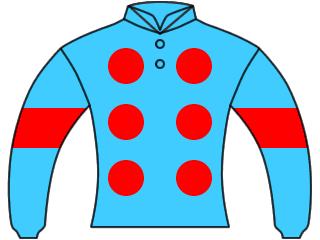 racehorse